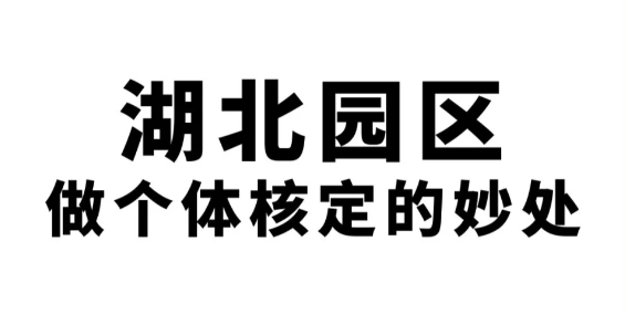 2024湖北一手园区核定征收