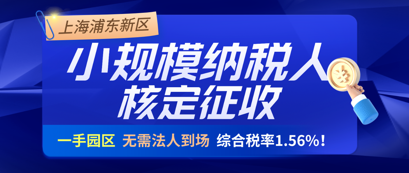 上海浦东新区小规模纳税人核定征收如何纳税