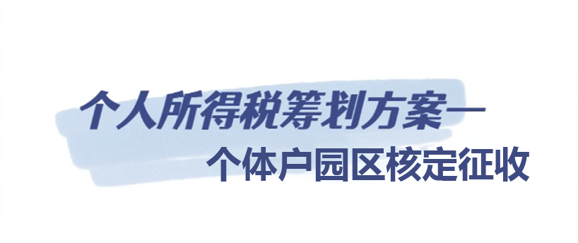 2024广东河源个人所得税核定征收新政策（个人所得税核定征收的方法）