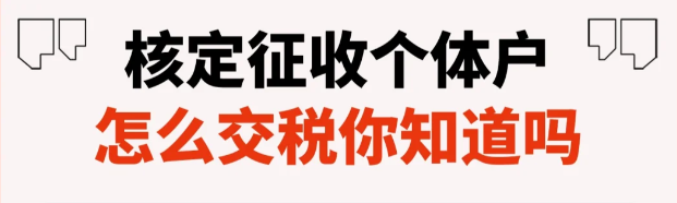 2024上海杨浦个体户核定征收计算公式