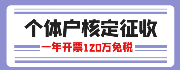 2024广东茂名个体经营所得税核定征收新政策！