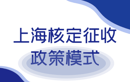 2024上海嘉定核定征收政策模式是什么样子？