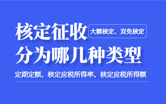 核定征收分为哪几种形式？（大额、双免、定期定额、核定应税）