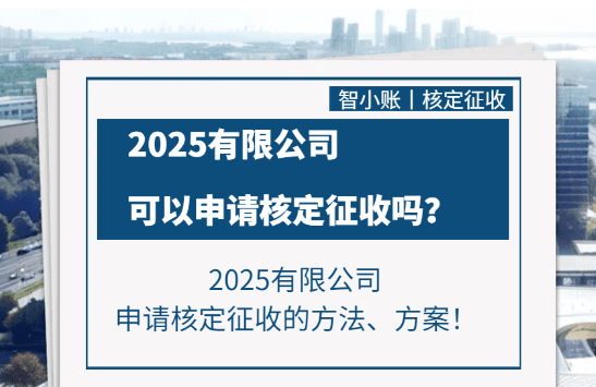 有限公司可以申请核定征收吗？2025有限公司申请核定征收的方法！