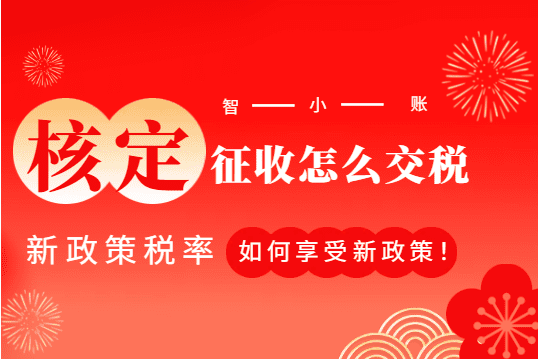 2025核定征收怎么交税？新政策税率，如何享受新政策！