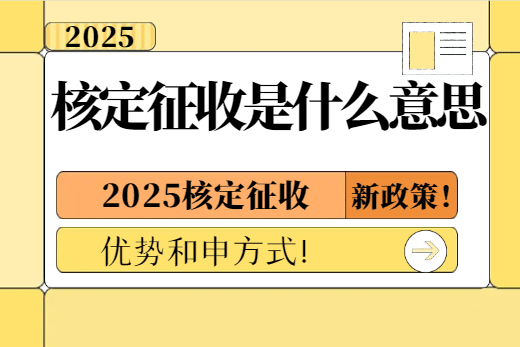 核定征收是什么意思？2025新政策的优势和申请方式！