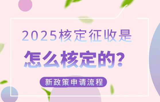 2025核定征收怎么核定？新政策申请流程！