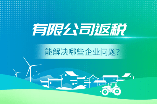 2025有限公司返税能解决哪些企业问题？